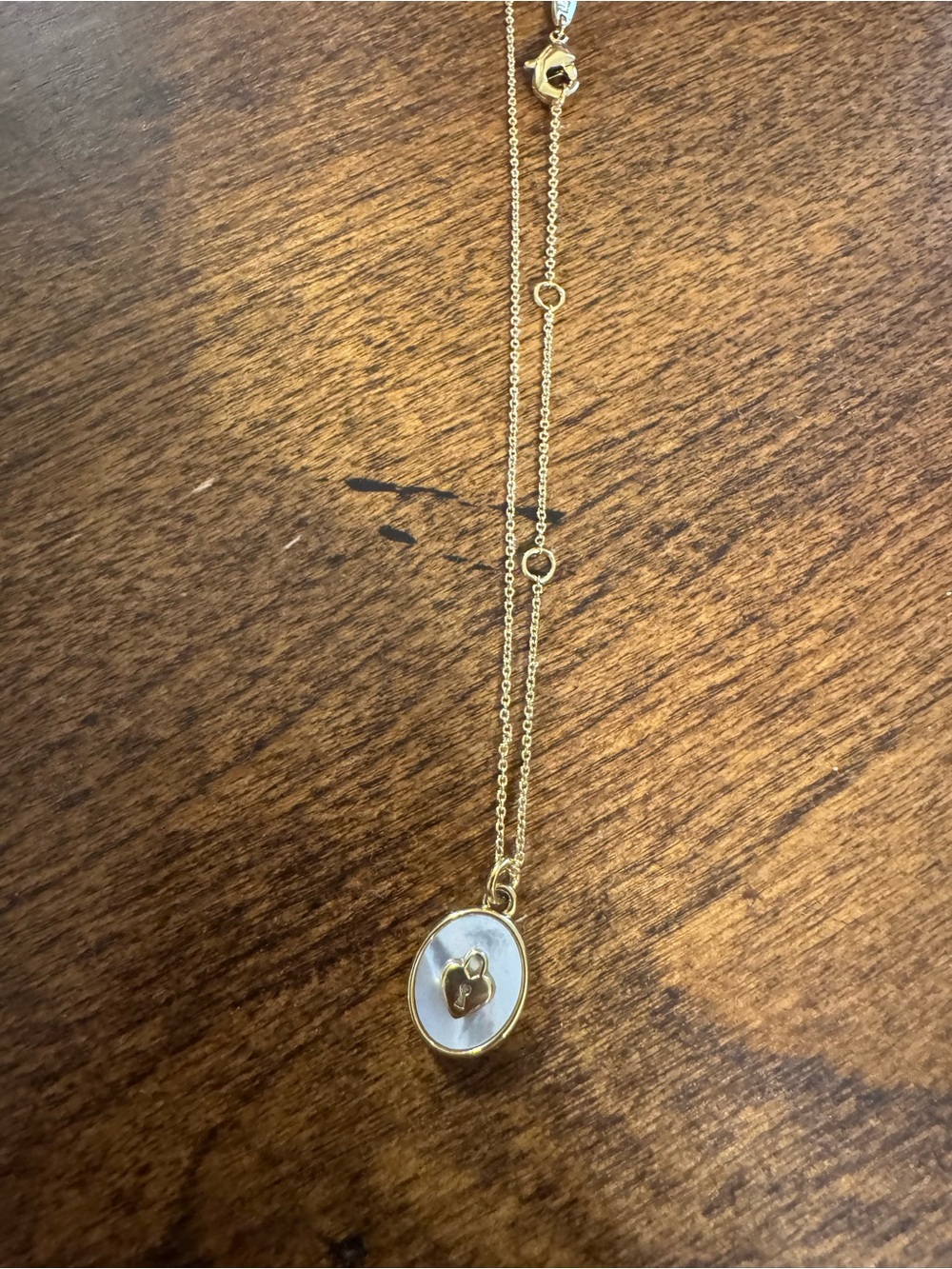 NWOT Tiny Tags Gold & White Mother-of-Pearl Heart Charm Necklace